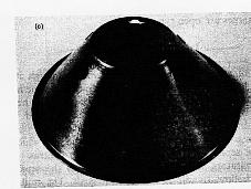 Fig5c